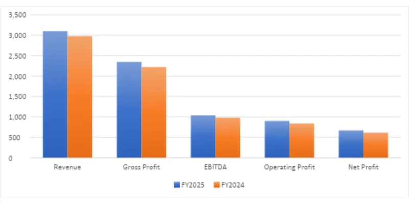 Financial Summary Table